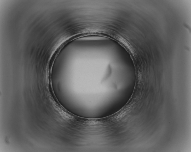 X0000096671124200802191323