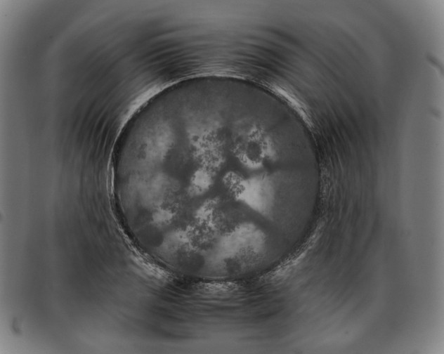 X0000096671125200802191323
