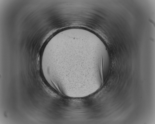 X0000096671126200802191323