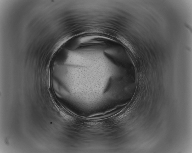 X0000096671127200802191323