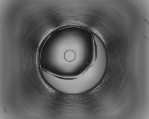 X0000096671128200802191323