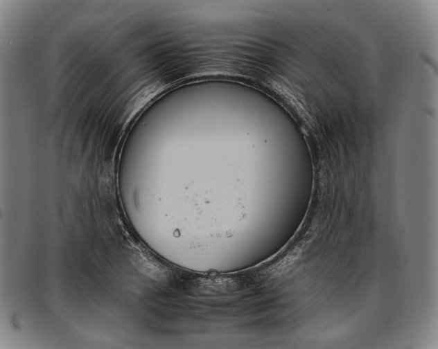 X0000096671129200802191323