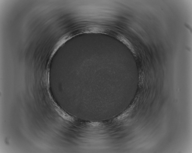 X0000096671130200802191324