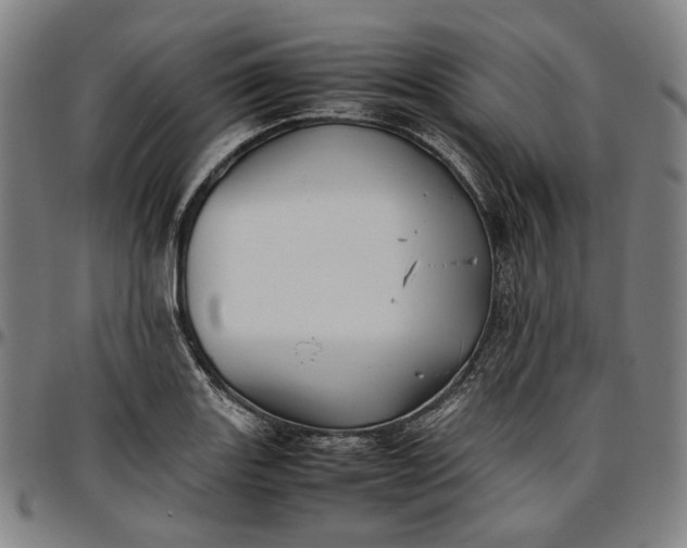 X0000096671131200802191324