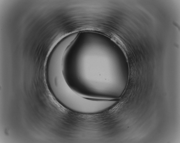 X0000096671132200802191324
