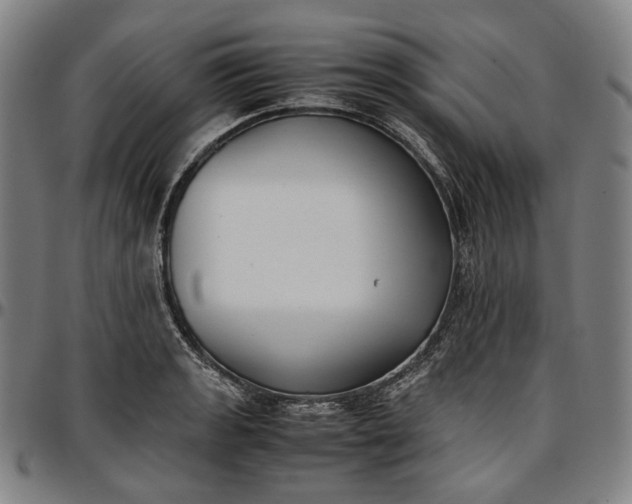 X0000096671133200802191324