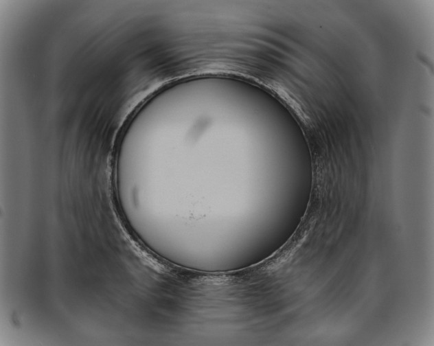 X0000096671134200802191324