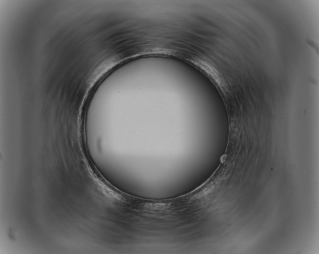 X0000096671135200802191324