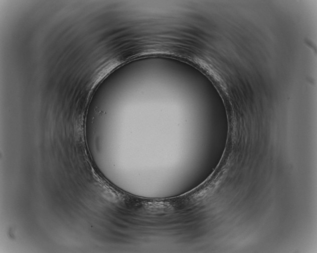 X0000096671137200802191324