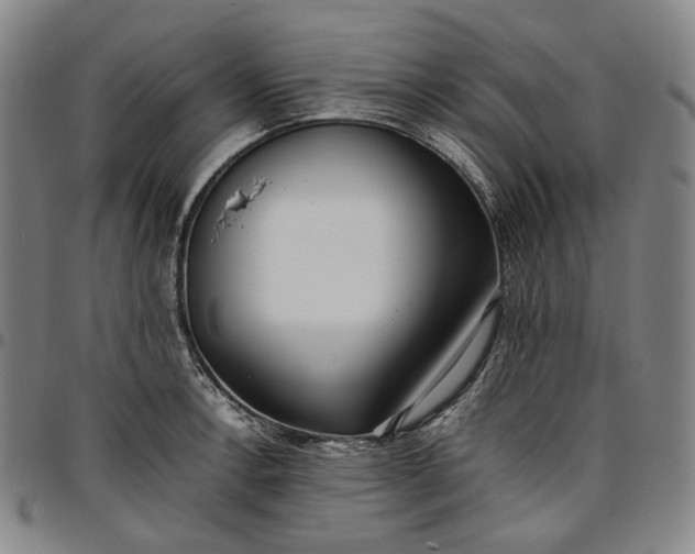 X0000096671138200802191324