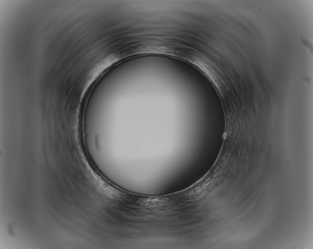X0000096671139200802191324
