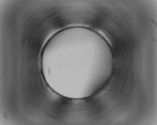 X0000096671140200802191324