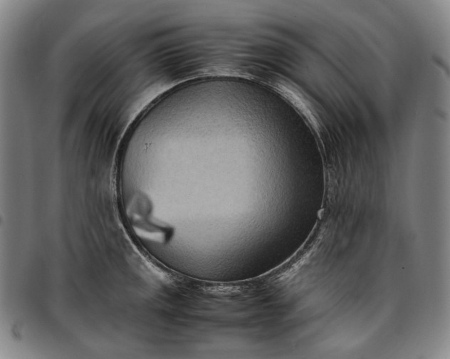 X0000096671141200802191324