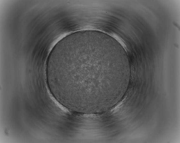 X0000096671142200802191324