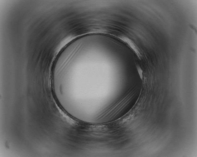X0000096671143200802191324