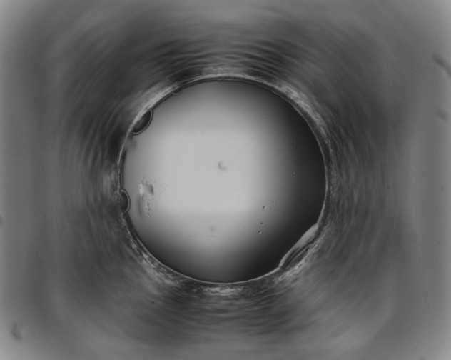 X0000096671145200802191324