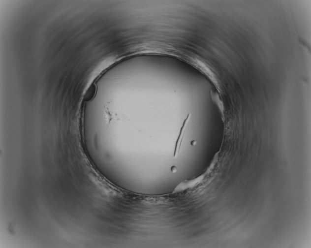 X0000096671146200802191324