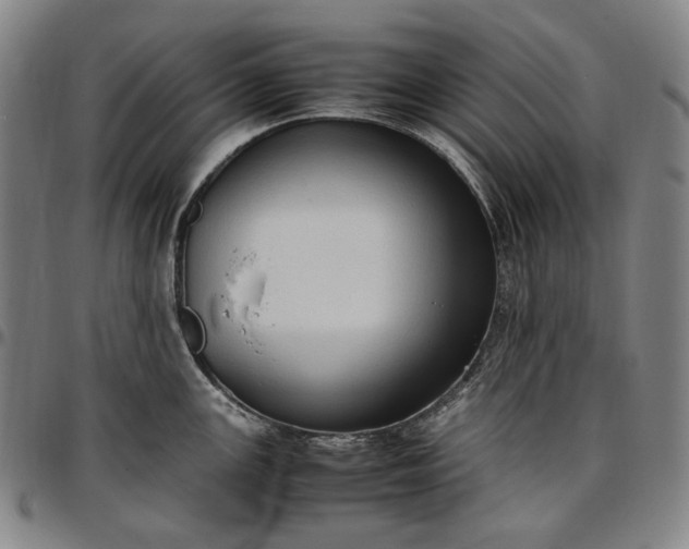 X0000096671147200802191324