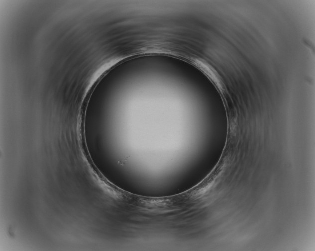 X0000096671149200802191324