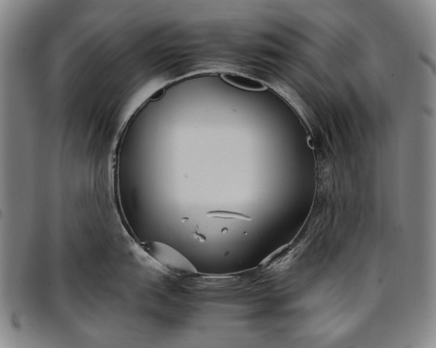 X0000096671151200802191324