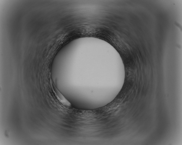 X0000096671153200802191323
