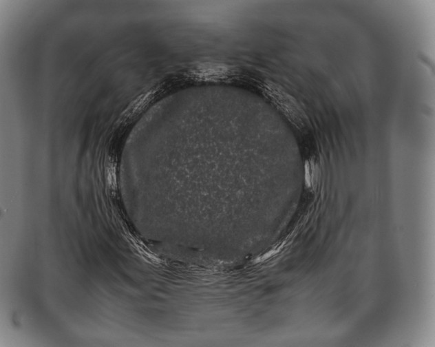 X0000096671155200802191323