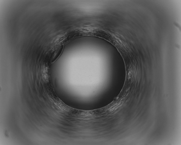 X0000096671156200802191323