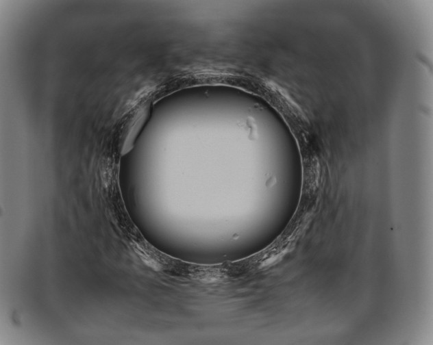 X0000096671157200802191323