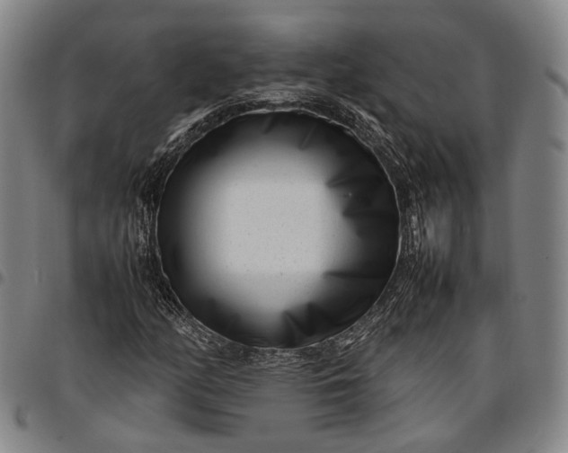 X0000096671158200802191323