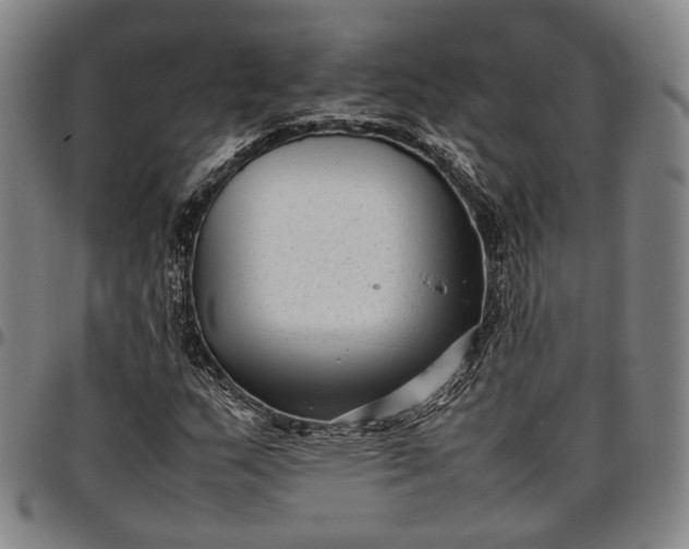 X0000096671159200802191323