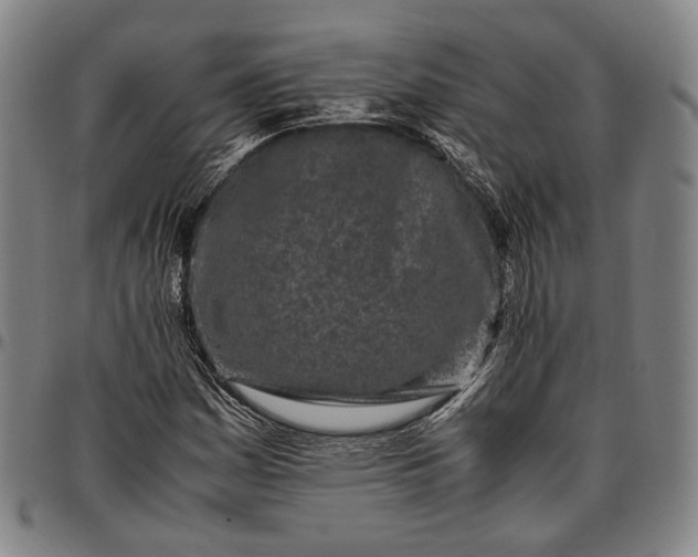 X0000096671161200802191323
