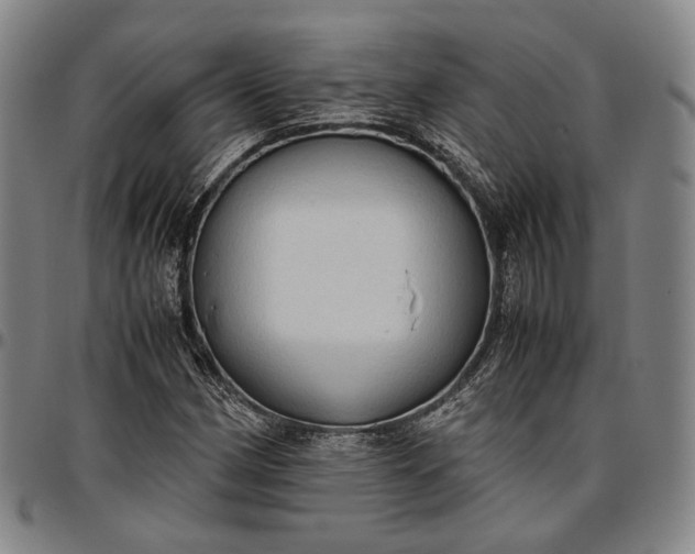X0000096671162200802191323