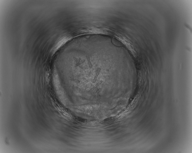 X0000096671163200802191323
