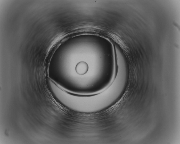 X0000096671164200802191323