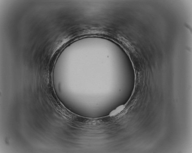 X0000096671165200802191323