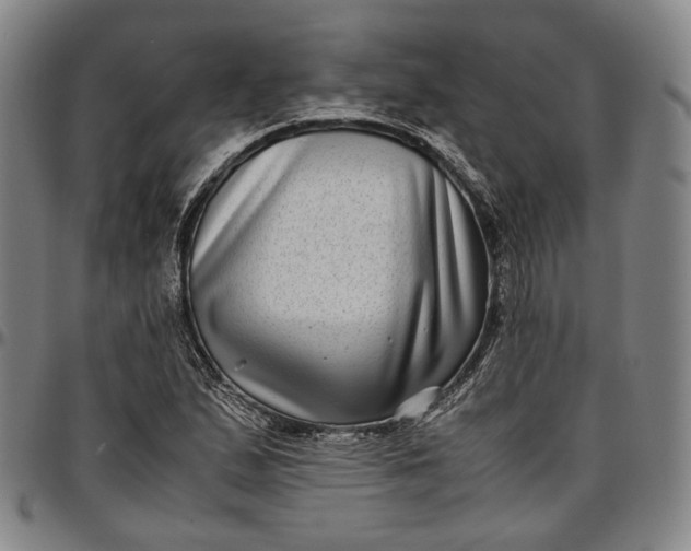 X0000096671167200802191323