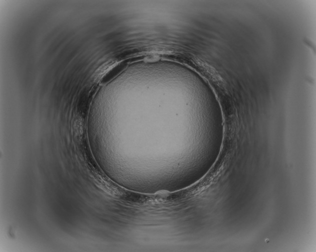 X0000096671169200802191323
