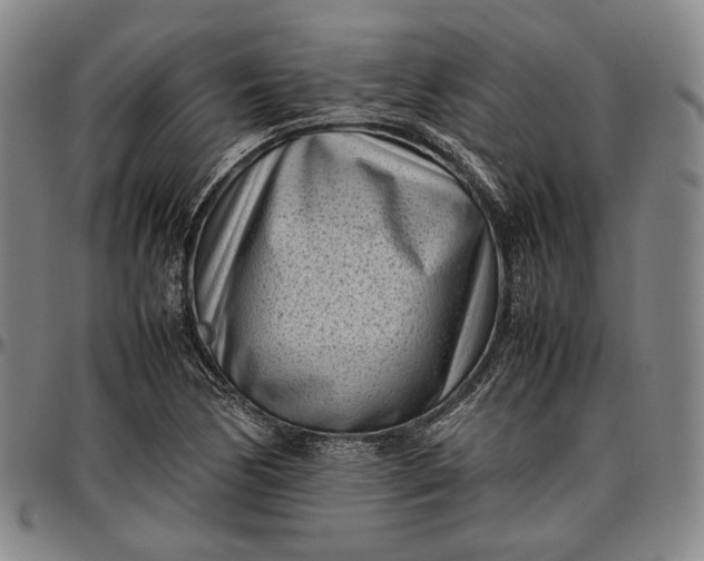 X0000096671170200802191323