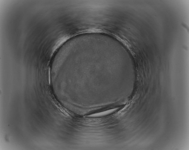X0000096671171200802191323