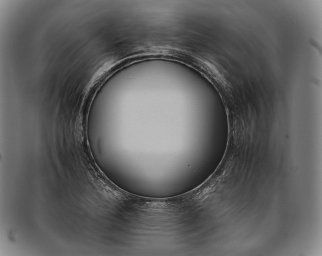X0000096671172200802191323