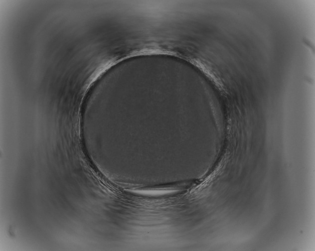 X0000096671173200802191323