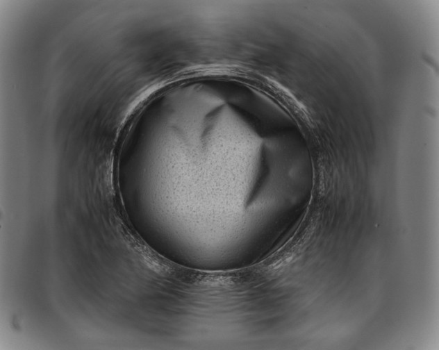X0000096671174200802191323