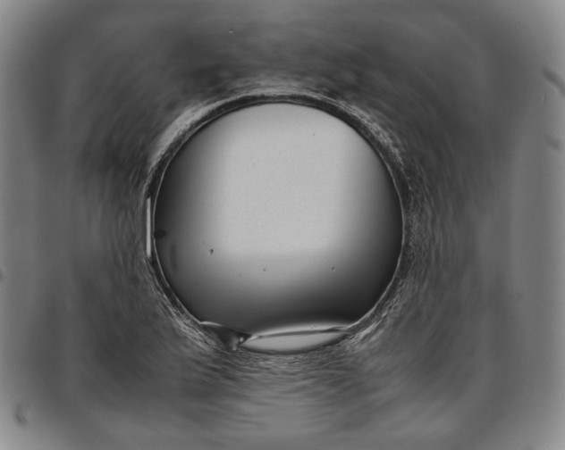 X0000096671175200802191323