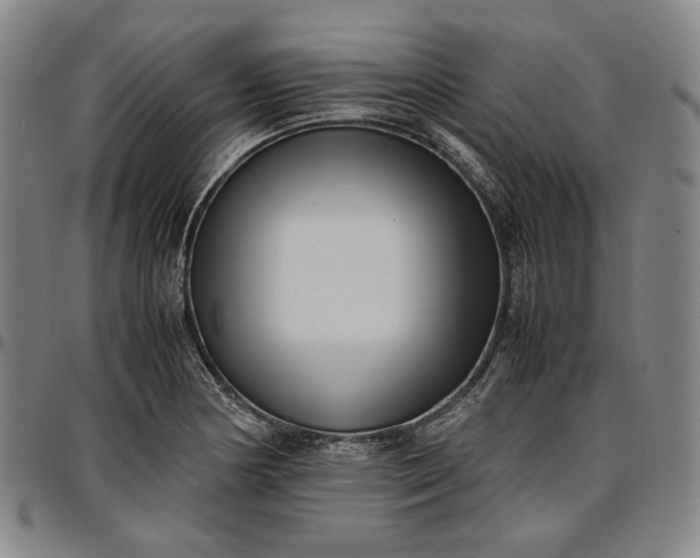 X0000096671178200802191323