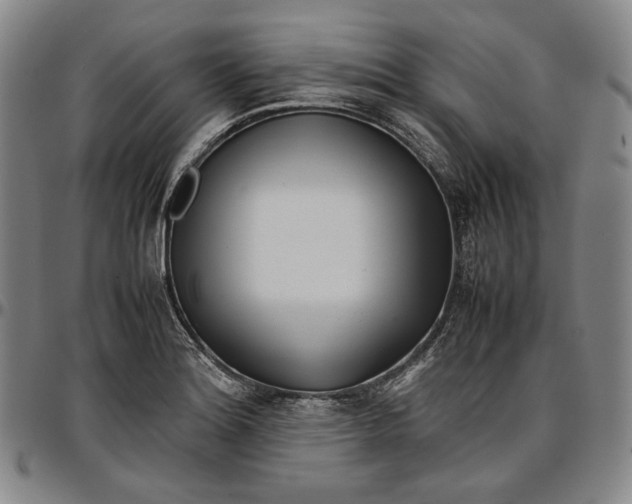 X0000096671180200802191323