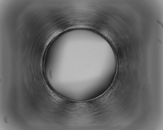 X0000096671181200802191323