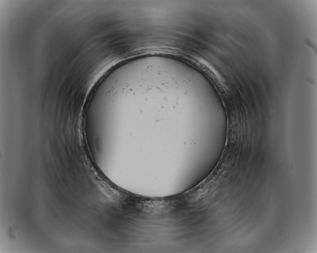 X0000096671182200802191323