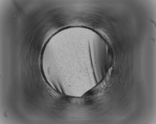 X0000096671183200802191323