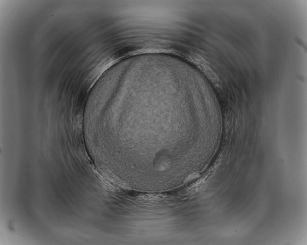 X0000096671185200802191323