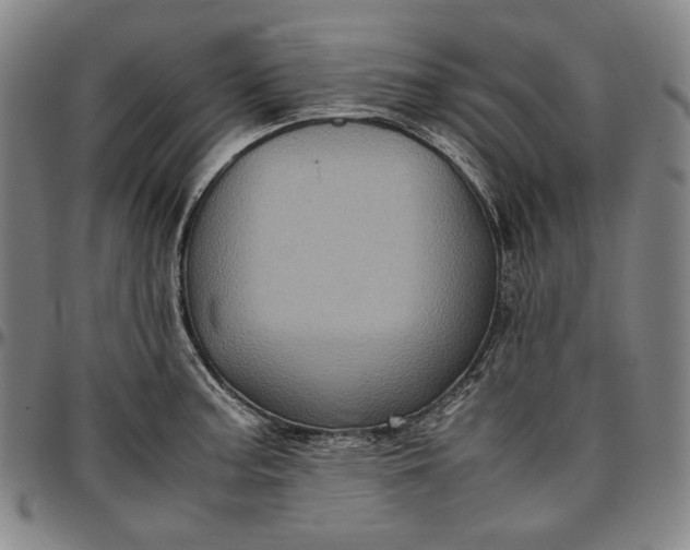 X0000096671187200802191323